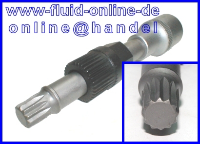 Freilauf Lichtmaschine